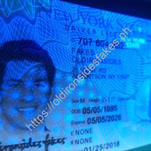 New York Driver License(NY O21 V3)