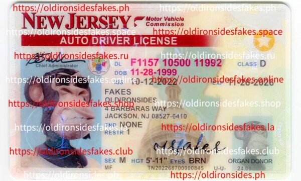 New Jersey Driver License(NJ)