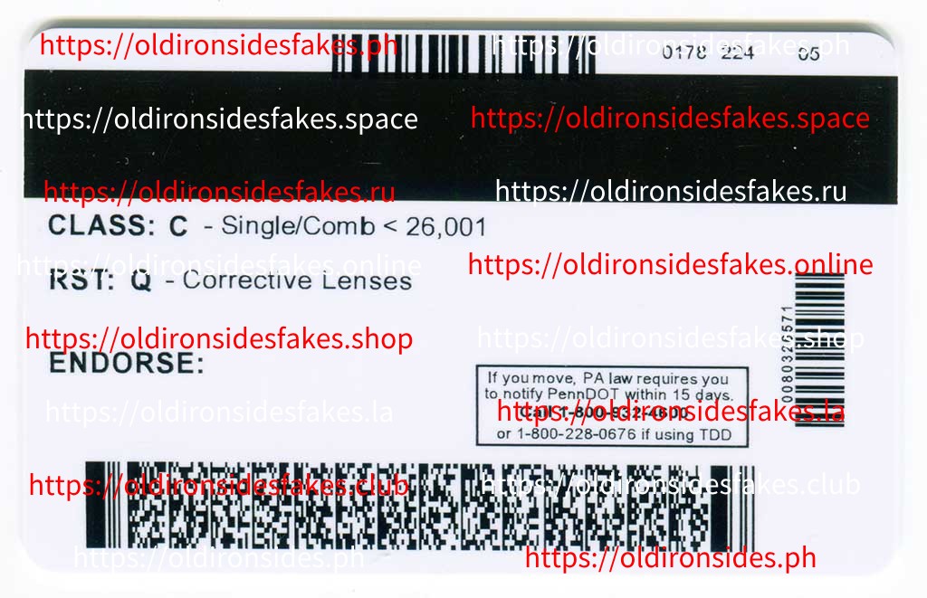 Pennsylvania Driver License(Old PA) - Image 2