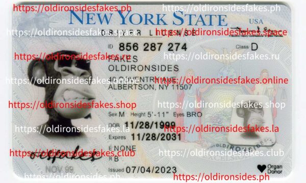 New York Driver License(NY O21 V3)
