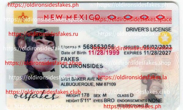 New Mexico Driver License(NM)